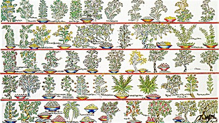 藏藥材資源分布、發(fā)展史